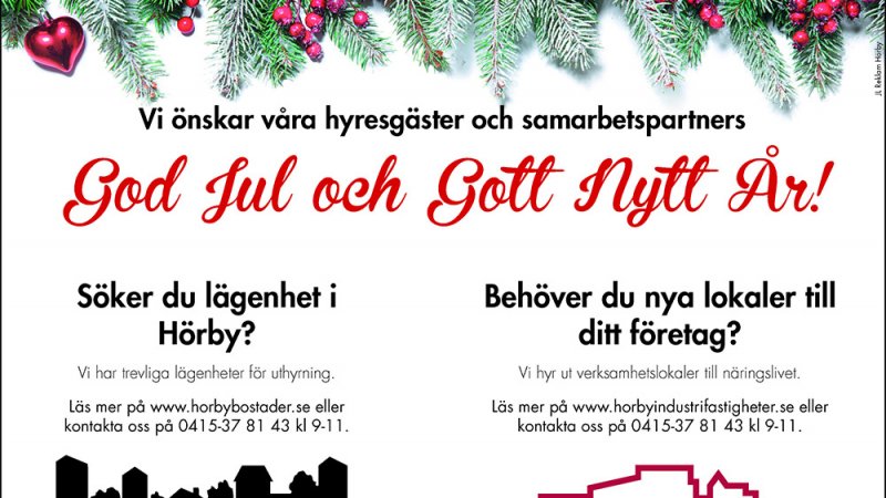 Vi önskar dig god jul och gott nytt år!